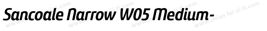 Sancoale Narrow W05 Medium字体转换